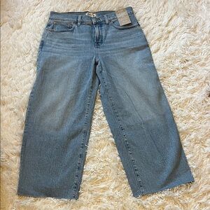 NWT Madewell Perfect Vintage Wide-Leg Crop Jean 29P